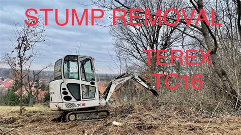 sign post removal with mini excavator|Stump Removal with a Mini.